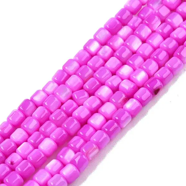 Natural Freshwater Shell Beads Strands