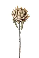 Umělé květiny Bloomingville Protea Stem 76 cm více barev
