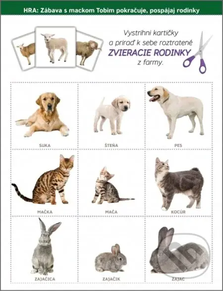 Zvieracie rodinky - Petra Kabátová - hra z kategorie Karty, pexeso