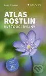 ᴀtlas rostlin