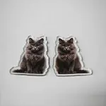 Printed Acrylic Pendants