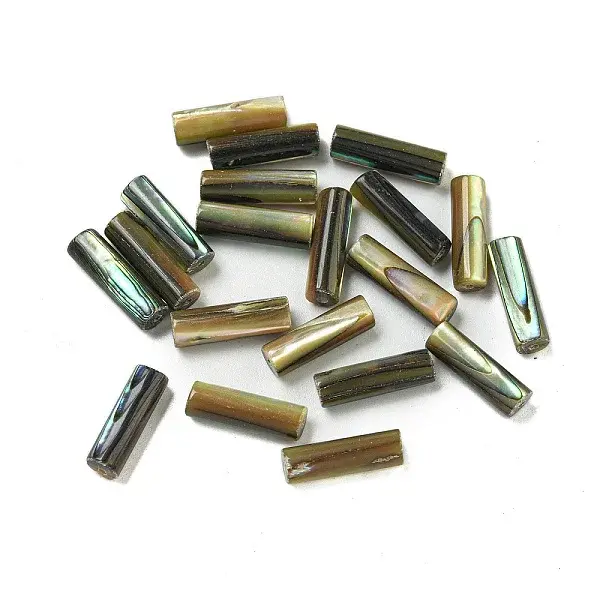Natural Paua Shell Beads