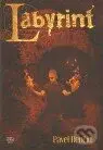 Labyrint - Pavel Renčín