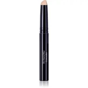 Dr. Hauschka Make-Up Concealer krycí korektor odtieň 02 chestnut 2.5 ml