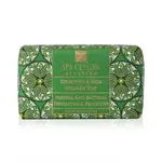 Antibakteriálne wellness prírodné mydlo EUCALYPTUS a NEEM