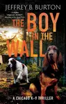 Boy in the Wall - Jeffrey B. Burton