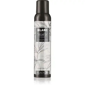 Black Professional Line Line Volume Up Root Spray objemový sprej pro jemné vlasy 300 ml