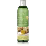 Bottega Verde Zenzero čisticí šampon pro posílení vlasů 250 ml