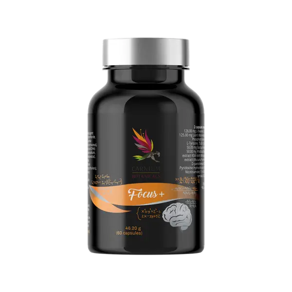 CARNIUM BOTANICALS Focus+ 60 kapslí