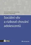 Sociální vliv a rizikové chování adolescentů - Panajotis Cakirpaloglu, Cakirpaloglu Dobešová Simona - e-kniha