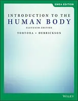 Introduction to the Human Body, EMEA Edition - Bryan H.  Derrickson, Gerard J.  Tortora