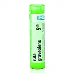 Ruta graveolens 5CH granule 4g