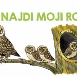 Najdi moji rodinu
