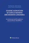Soudní judikatura ve světle nového občanského zákoníku - Komentovaný rejstřík judikatury a její použití pro rekodifikaci - Petr Bezouška