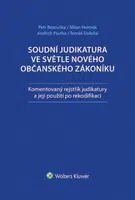 Soudní judikatura ve světle nového občanského zákoníku - Komentovaný rejstřík judikatury a její použití pro rekodifikaci - Petr Bezouška