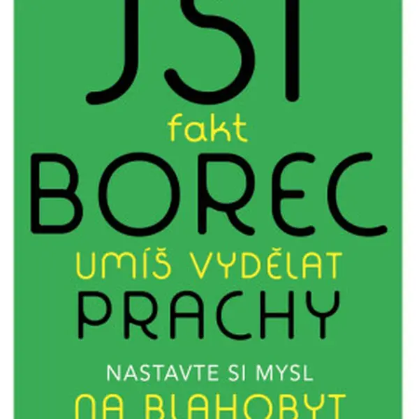 Jsi fakt borec - umíš vydělat prachy. Nastavte si mysl na blahobyt - Jen Sincerová