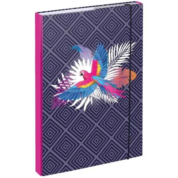 BAAGL PAPOUŠEK Desky na školní sešity A4, mix, velikost