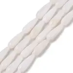 Natural Freshwater Shell Beads Strands
