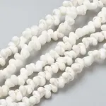 Natural Spiral Shell Beads Strands