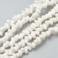 Natural Spiral Shell Beads Strands