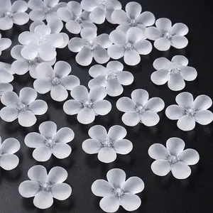 Transparent Acrylic Beads