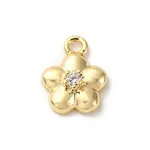 Brass Micro Pave Cubic Zirconia Charms