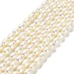 Natural Cultured Freshwater Pearl Beads Strands