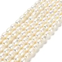 Natural Cultured Freshwater Pearl Beads Strands