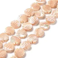 Natural Trochid Shell Beads Strands