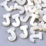 Natural Sea Shell Beads