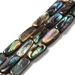 Natural Paua Shell Beads Strands