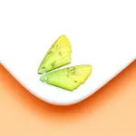 Transparent Resin Pendants