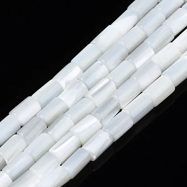 Natural Freshwater Shell Beads Strands