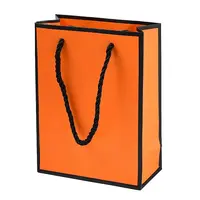 Rectangle Paper Bags with Twisted Rope Handles