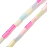 Rainbow Color Dyed Natural Freshwater Shell Beads Strands