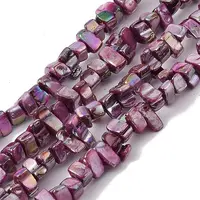 Natural Freshwater Shell Beads Strands
