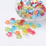Eco-Friendly Transparent Acrylic Beads