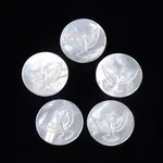 Natural White Shell Cabochons