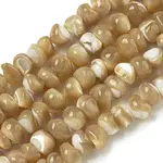 Natural Trochus Shell Beads Strands