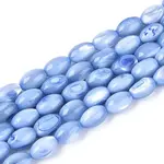 Natural Trochus Shell Beads Strands