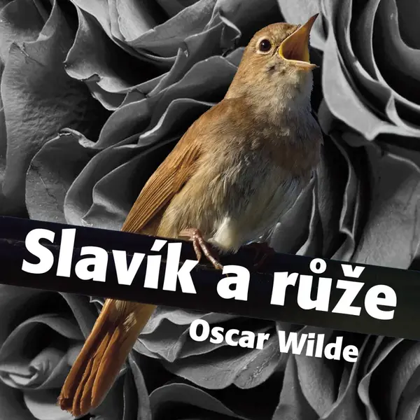 Slavík a růže - Oscar Wilde - audiokniha