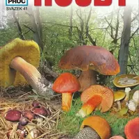 Houby - Co, Jak, Proč? - svazek 41 - Heike Herrmann