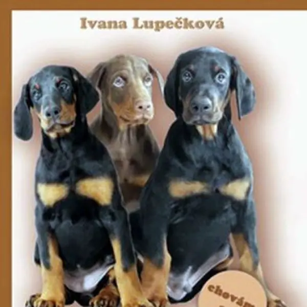 Dobrman - chováme psy - Ivana Lupečková