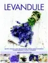 Levandule - Mirka Koníčková