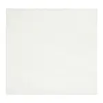 Silicone Membrane & Film