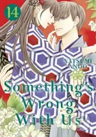 Something's Wrong With Us 14 - Natsumi Ando - kniha z kategorie Komiksy