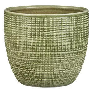 Obal Corteza Menta 866/14