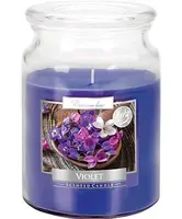 Vonná sviečka SND99-131 viola