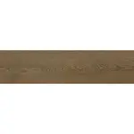 Dlažba Pinea brown 15,5/62