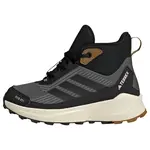 ADIDAS TERREX Nízke čižmy 'Trailmaker 2'  antracitová / čadičová / biela